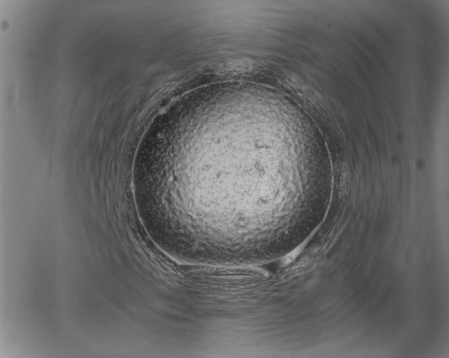 X0000058781153200510031013