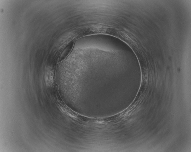 X0000058781154200510031013