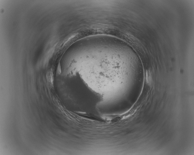 X0000058781155200510031013