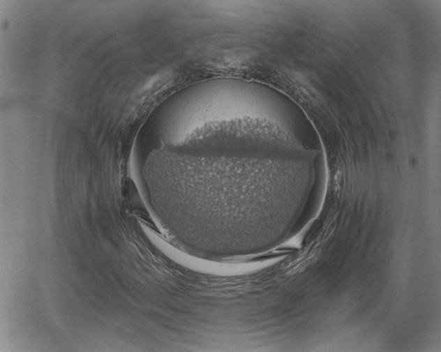 X0000058781156200510031013