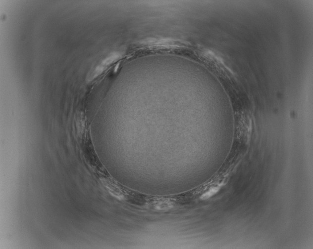 X0000058781157200510031013