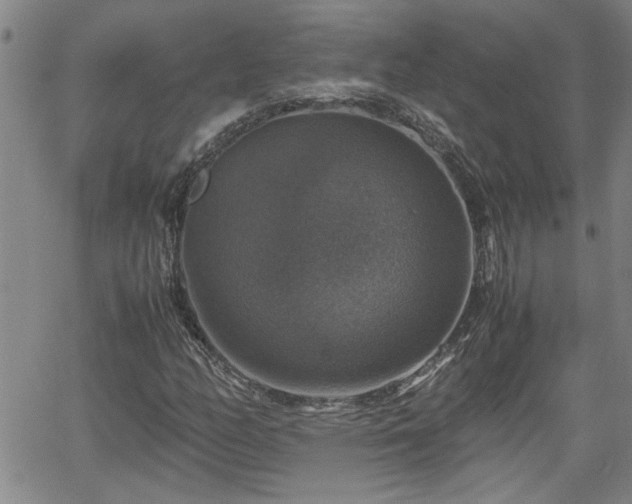 X0000058781158200510031013