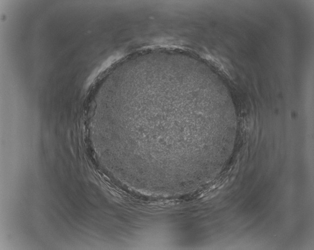 X0000058781159200510031013