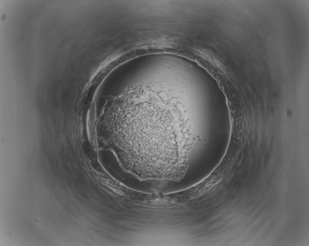 X0000058781160200510031013