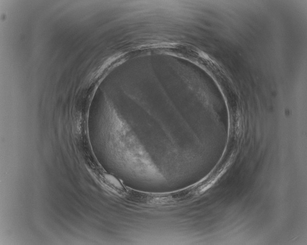 X0000058781161200510031012