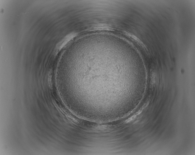 X0000058781162200510031012