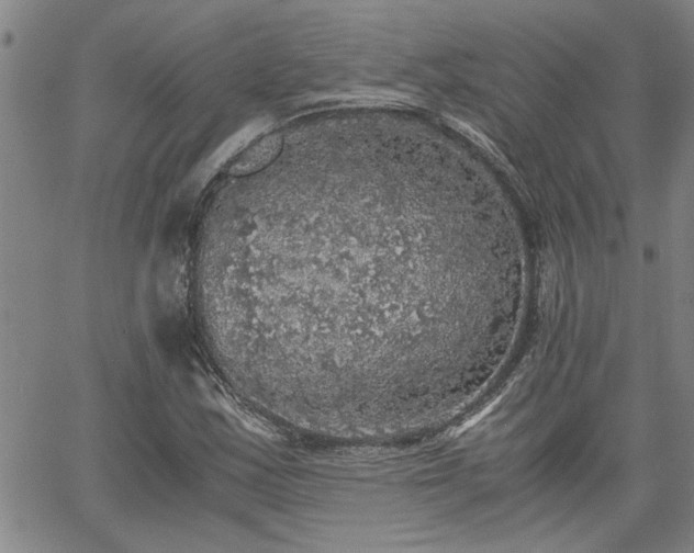 X0000058781163200510031012