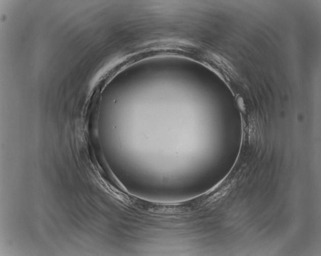 X0000058781164200510031012