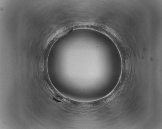 X0000058781165200510031012