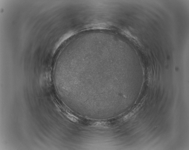 X0000058781166200510031012