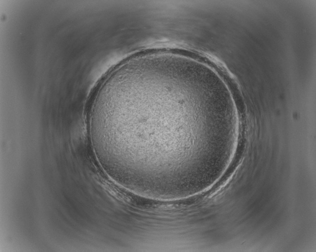 X0000058781167200510031012