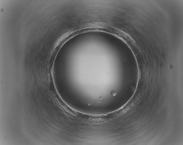 X0000058781168200510031012