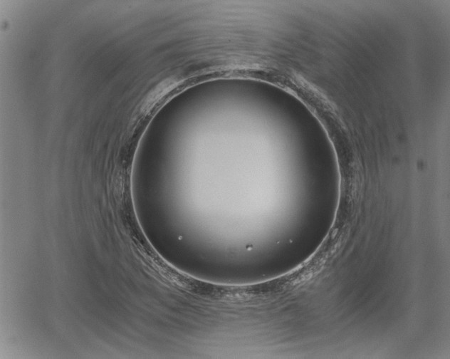 X0000058781169200510031012