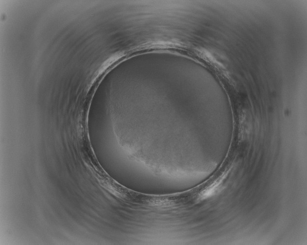 X0000058781170200510031012