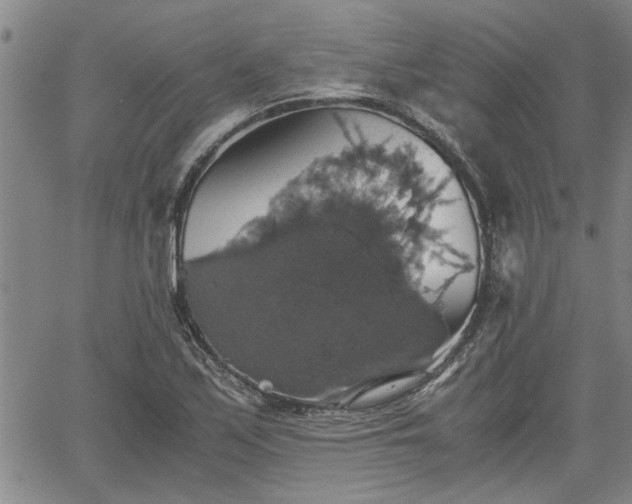 X0000058781171200510031012