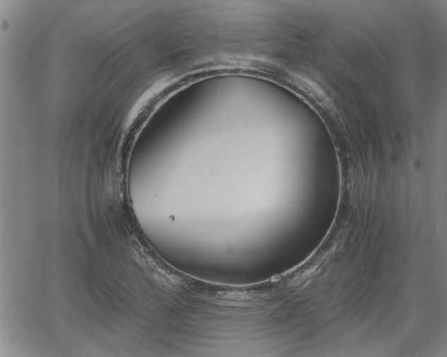 X0000058781172200510031012