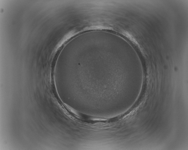 X0000058781173200510031012