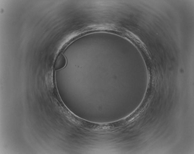 X0000058781174200510031012