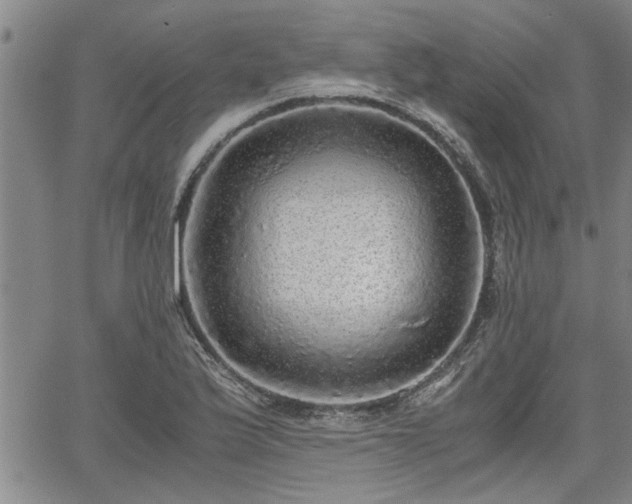 X0000058781175200510031012