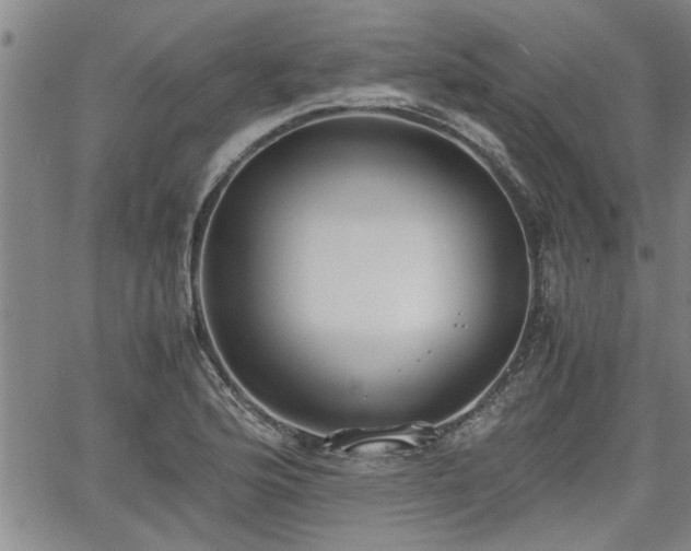 X0000058781176200510031012