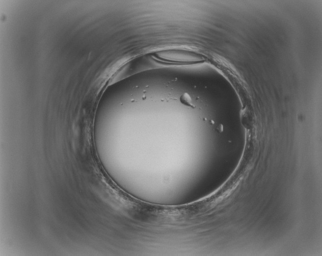 X0000058781177200510031012