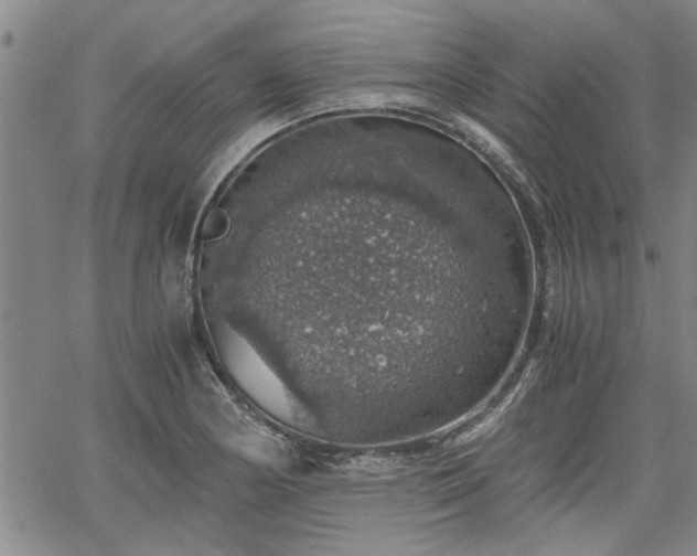 X0000058781178200510031012