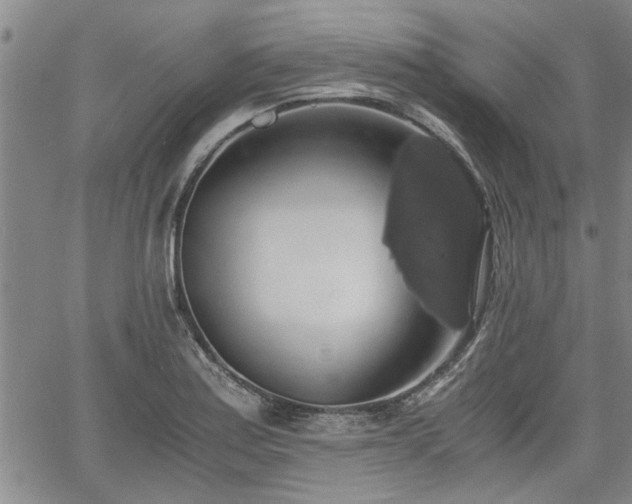 X0000058781179200510031012