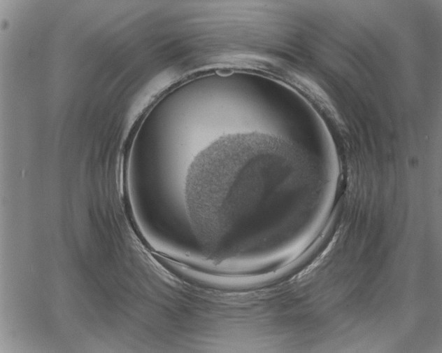 X0000058781180200510031012