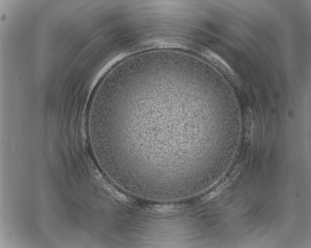 X0000058781182200510031012