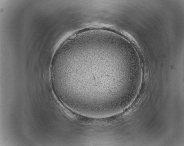 X0000058781183200510031012