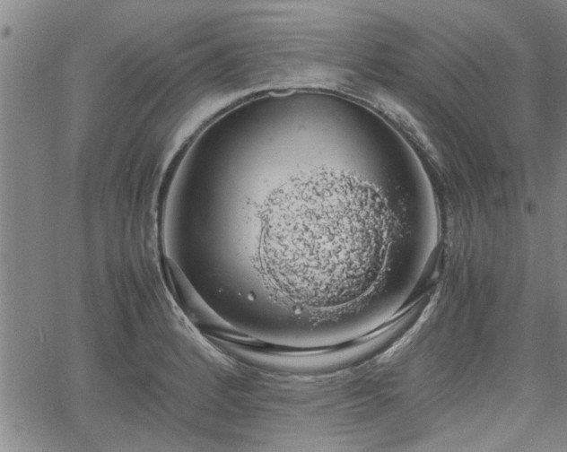 X0000058781184200510031012