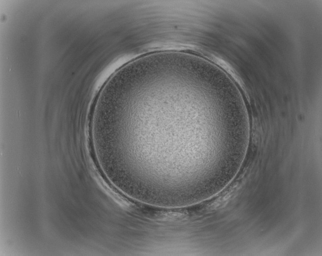 X0000058781187200510031012