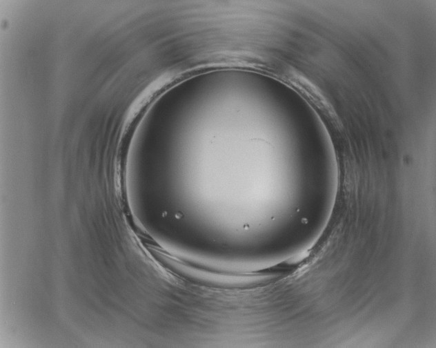 X0000058781188200510031012