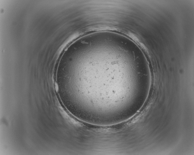 X0000058781189200510031012