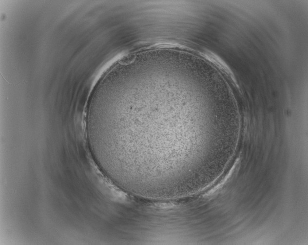 X0000058781190200510031012