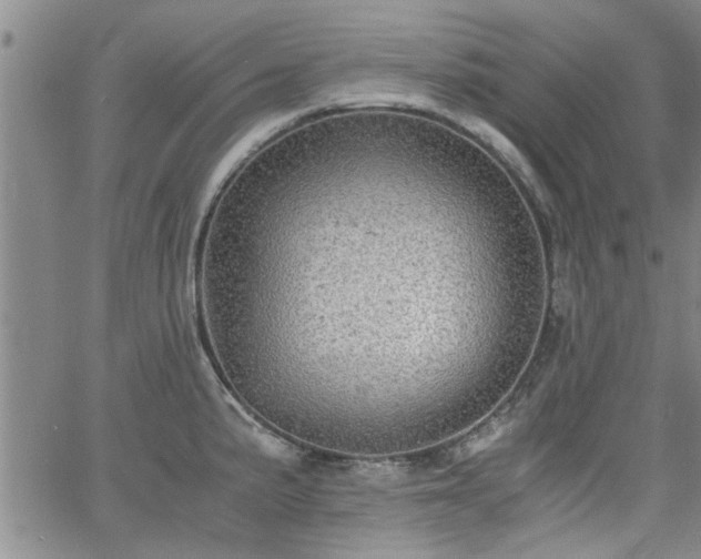 X0000058781191200510031012