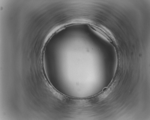 X0000058781192200510031012