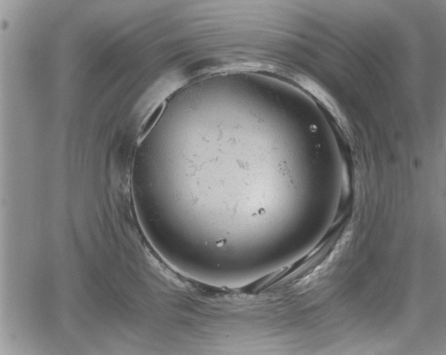 X0000058781193200510031012