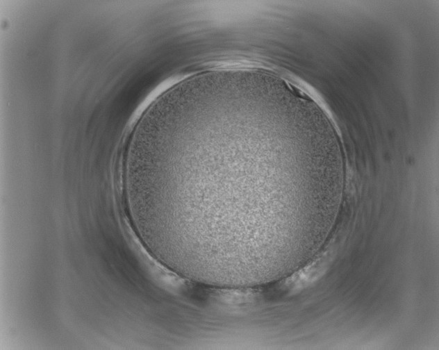 X0000058781195200510031012