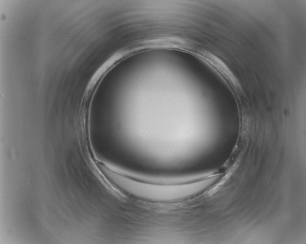 X0000058781196200510031012