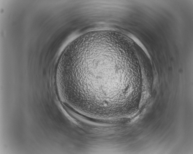 X0000058781197200510031012