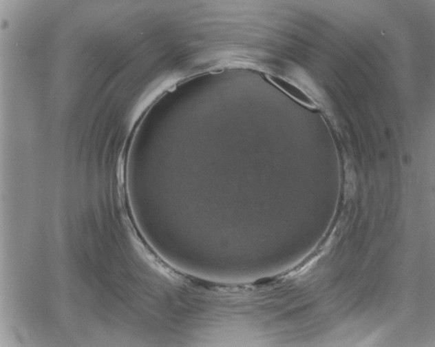 X0000058781198200510031012