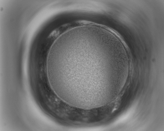 X0000058781199200510031012