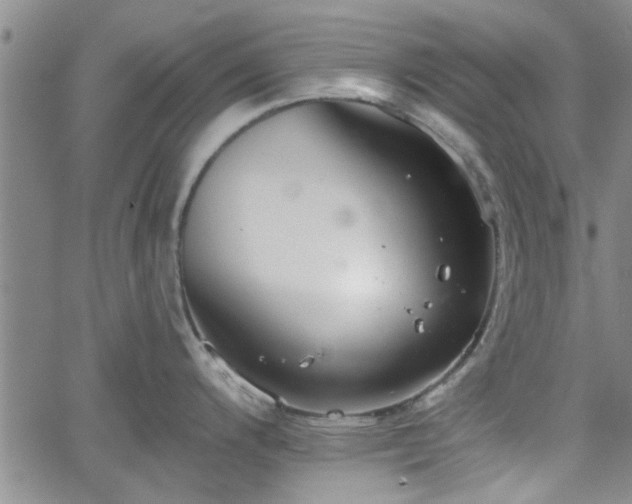 X0000058781200200510031012