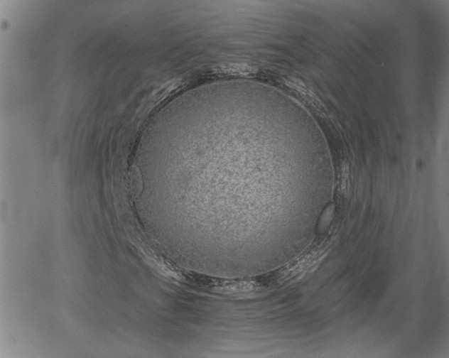 X0000058781201200510031011