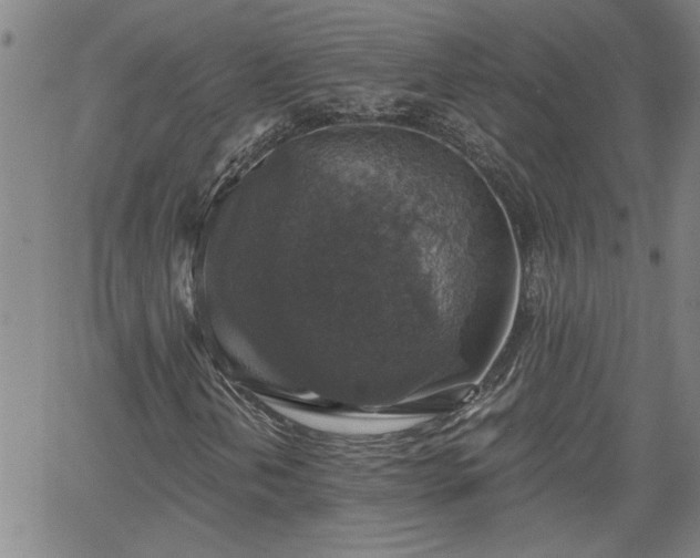 X0000058781202200510031011