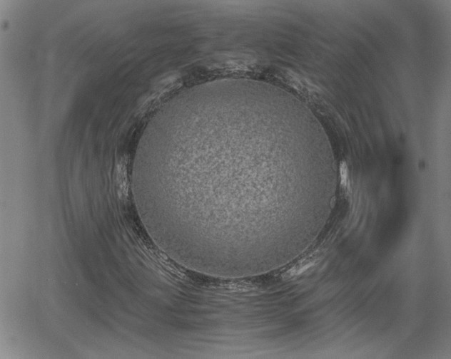 X0000058781203200510031011