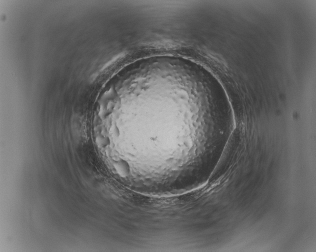 X0000058781205200510031011