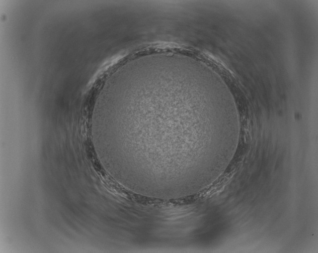 X0000058781207200510031011