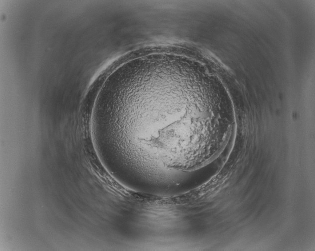 X0000058781208200510031011